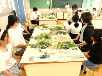 DSC00520