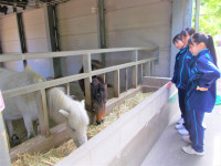 DSCN0712[1]