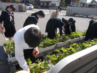 DSCN0838