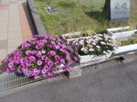 DSCN0832