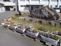 DSCN0833