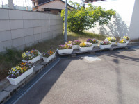 DSCN0834