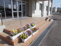 DSCN0835