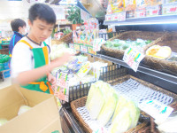 DSCN2087