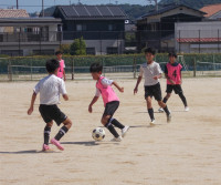 DSCN0412