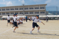 DSCN2294