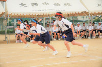 DSC06009