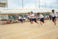 DSC06012