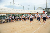 DSC06013