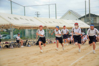 DSC06019