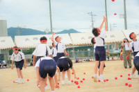 DSC06621