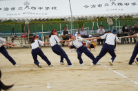 DSC06734