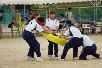 DSC06737