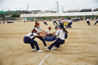 DSC06764