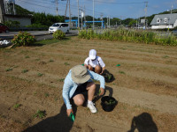 DSC01469