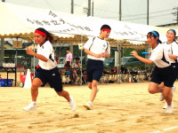 DSC03500