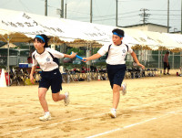DSC03506