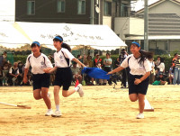 DSC03519