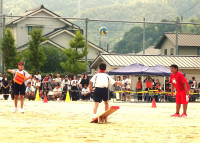 DSC03528