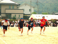 DSC03564