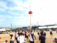 DSCN1174