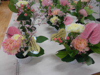 DSCN3771